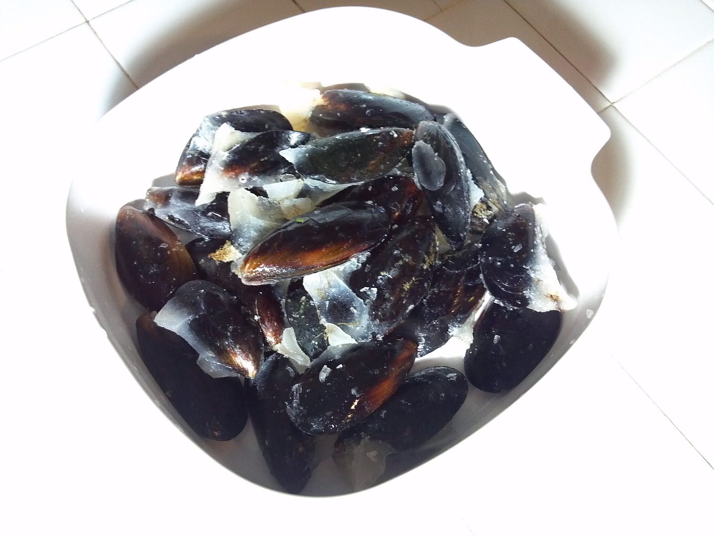 SWEET YARNS Mussels in Garlic, Cilantro Sauce